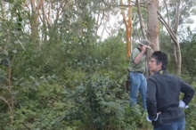 Dean Gallo on the Big Island